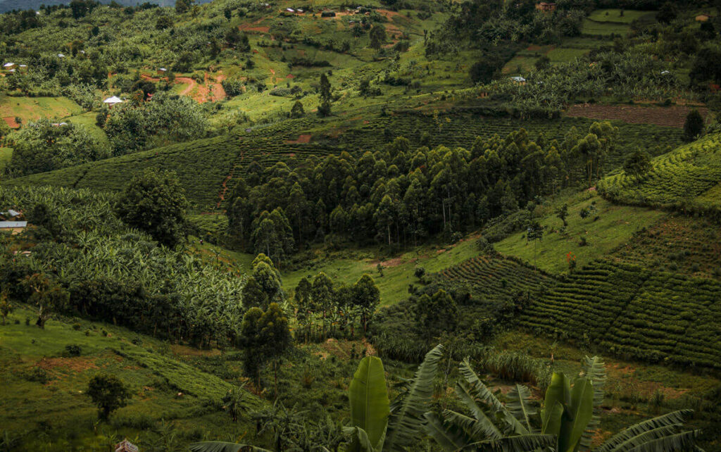 How can foreigners own land in Uganda 3