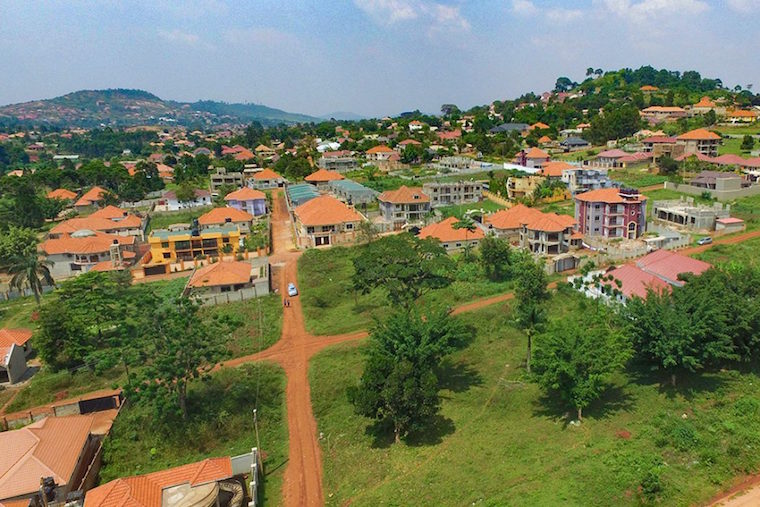 mailo land